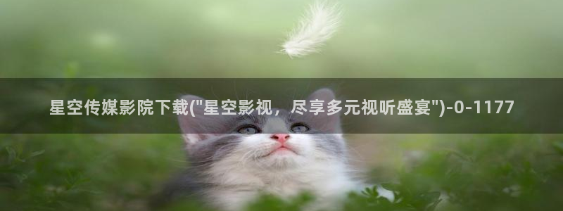 星空传媒官方账号：星空传媒影院下载(\
