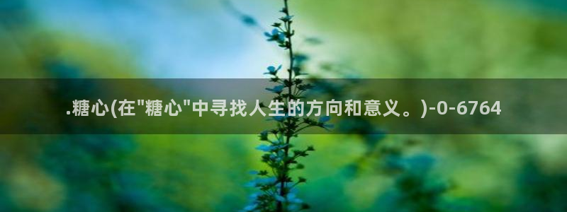 vlog糖心网站