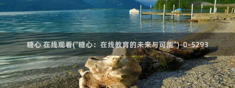 糖心vlog什么意思