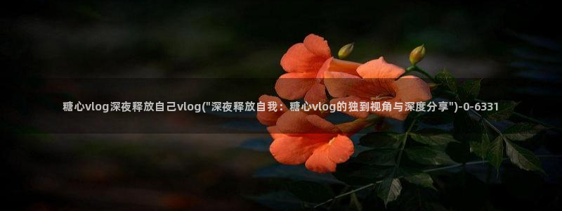 糖心vlog工作室