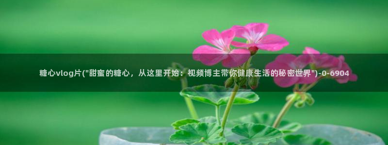 《糖心vlog》