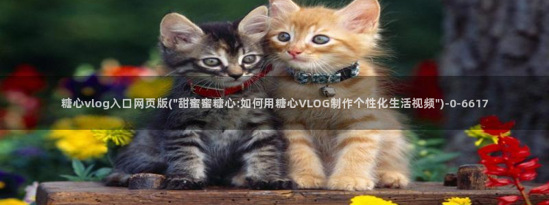 糖心vlog黄