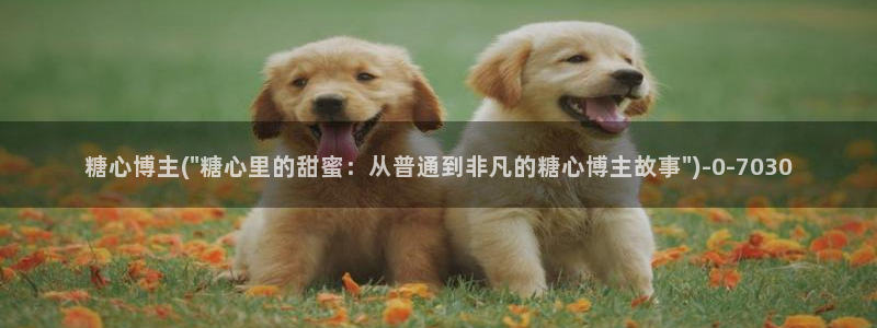 糖心vlog最新版本下载
