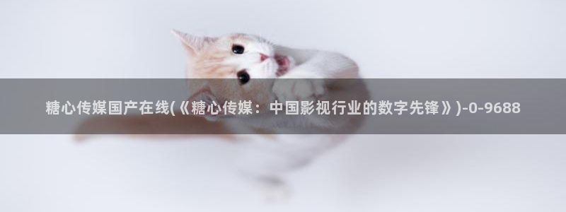 糖心vlog许木学长