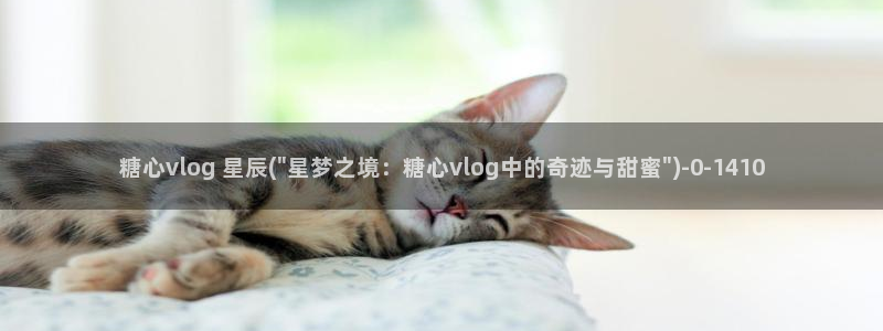 糖心vlog国产剧