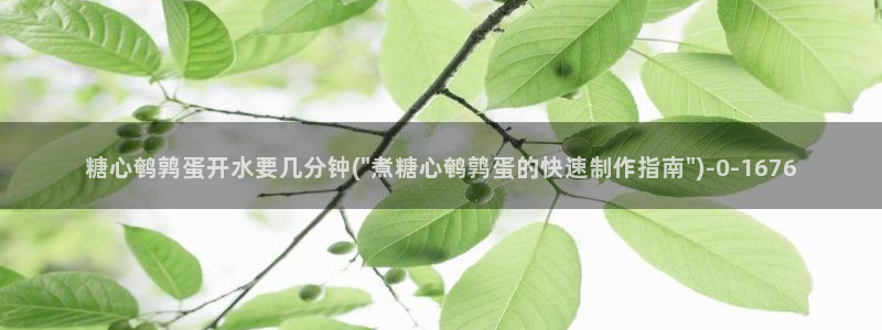 糖心vlog博主