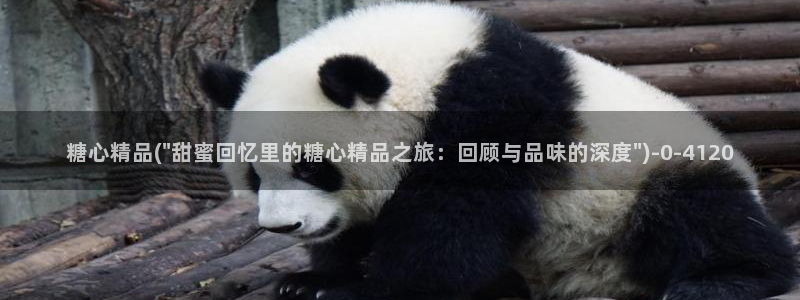 糖心vlog破解版免费