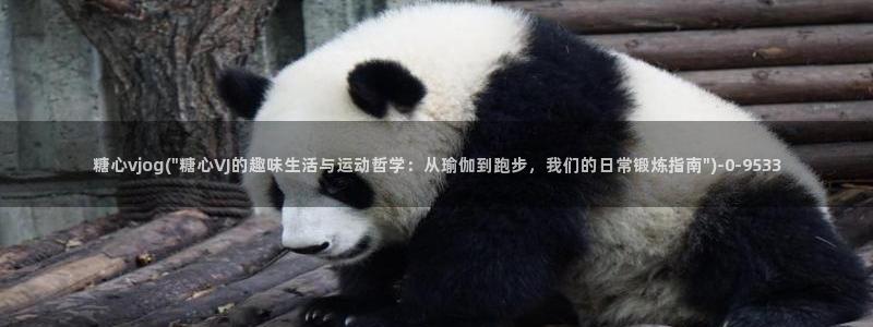 糖心vlog网站免费看：糖心vjog(\