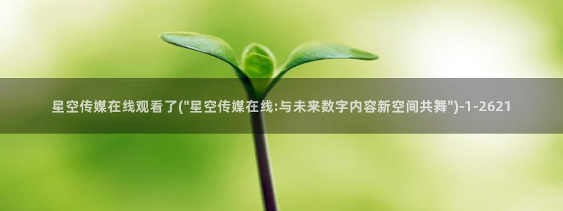 华文星空传媒片头