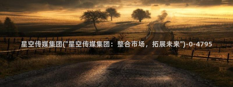 星空娱乐传媒赘婿