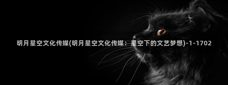 星空传媒女主播