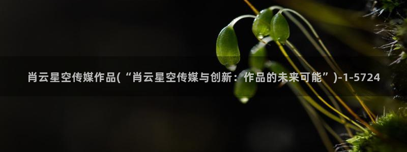 广东盛世星空传媒