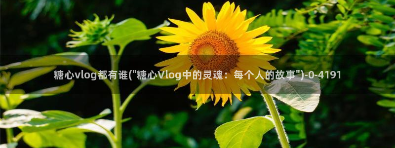 心糖vlog原创